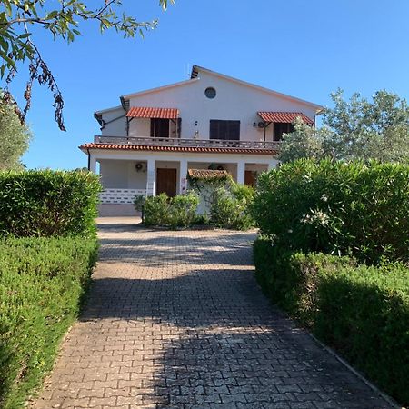 Villa Conti Residence Lacona Luaran gambar